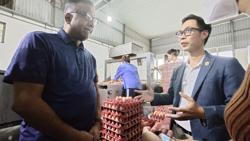 Cơ hội lớn xuất khẩu trứng gia cầm