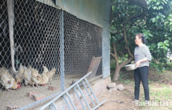 Huyện Krông Bông: 1.310 lao động được giải quyết việc làm