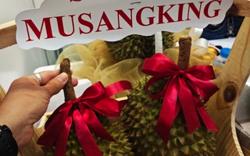 Bài học từ cây sầu riêng "vua"