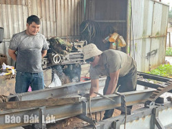 Huyện Krông Búk: Đào tạo nghề gắn với giải quyết việc làm