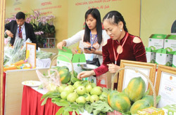 Mở rộng “sân chơi” cho sản phẩm OCOP