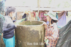 Ghi nhận trường hợp thứ 3 mắc viêm não Nhật Bản