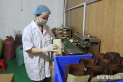 Tổng kim ngạch xuất khẩu 6 tháng đầu năm đạt gần 920 triệu USD