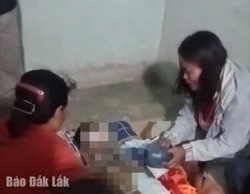 Huyện Buôn Đôn: Một học sinh bị tử vong khi trèo cây cao để hái lan rừng