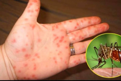 Dự báo số ca mắc sốt xuất huyết còn tăng