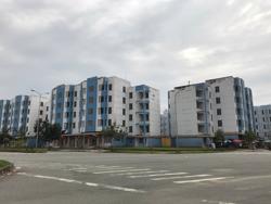 Những quy định có hiệu lực từ tháng 8-2024