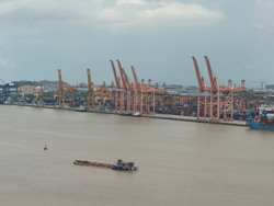 Làm gì khi cước vận tải biển tăng?