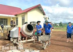 Mùa hè xanh đặc biệt