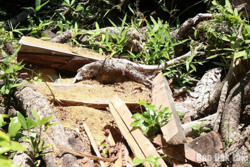 Huyện Krông Bông: Phát hiện 178 vụ vi phạm lâm luật