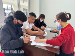 Đắk Lắk: 174 lao động Đắk Lắk đỗ Kỳ thi tiếng Hàn năm 2024