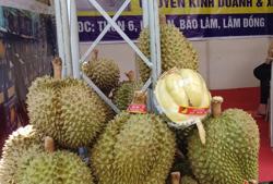 Giá sầu riêng bất ngờ tăng vọt lên hơn 100.000 đồng/kg