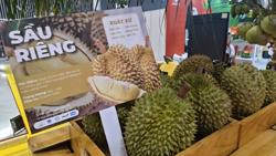 Sầu riêng đông lạnh chờ xuất chính ngạch sang Trung Quốc