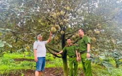 Không để xảy ra 'điểm nóng' về an ninh trật tự trong vụ sầu riêng