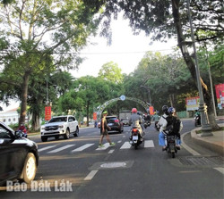 Cần xử phạt thật nghiêm hành vi không nhường đường cho người đi bộ