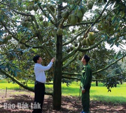 Khơi dậy sức dân xây dựng nông thôn mới ở Ea Tân