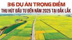 36 dự án trọng điểm thu hút đầu tư đến năm 2025 tại Đắk Lắk
