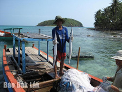 Ra Hòn Nồm ăn cá xương xanh