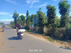 Huyện Lắk: Đi lấy măng một người đàn ông bị đá đè tử vong