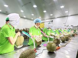 Giao thương Việt Nam - Trung Quốc tăng trưởng vượt bậc