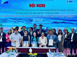 20 doanh nghiệp Đắk Lắk tham gia kết nối giao thương với doanh nghiệp Hàn Quốc