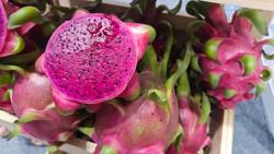 Chỉ 1 lô ớt, thanh long nhỏ vi phạm, ảnh hưởng cả ngành hàng