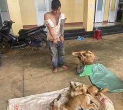 Trộm chó nhưng bị phát hiện, ra tay đâm chủ nhà trọng thương