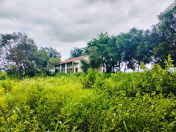 Một số doanh nghiệp được giao đất tại Đắk Lắk: Nợ thuế, quản lý lỏng lẻo