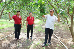 Agribank Đắk Lắk: Bảo đảm nguồn lực cung ứng vốn tín dụng cho sản xuất nông nghiệp