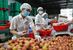 Nông sản Việt mở rộng thị phần trong nước