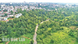 Kiến tạo không gian xanh cho suối Ea Tam