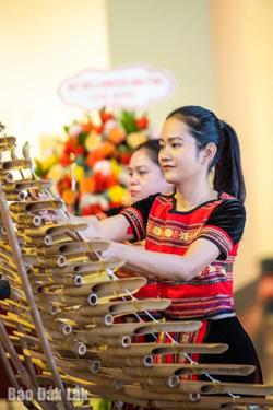 Mê đắm trong thế giới tre nứa