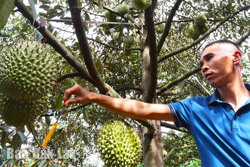 Những người “buôn nắng, bán mưa”