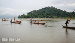 Nhớ độc mộc...