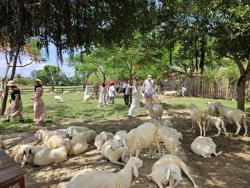 Du lịch lễ 2-9 chưa sôi động