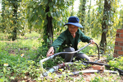 Đắk Nông nhân rộng mô hình sản xuất thích ứng biến đổi khí hậu