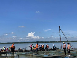 Khơi dậy tiềm năng du lịch nông nghiệp, nông thôn