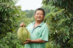 Tín hiệu vui cho lĩnh vực giống cây trồng Đắk Nông