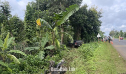 Xử lý mạnh người điều khiển phương tiện sử dụng ma túy