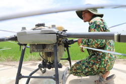 Nông dân Đắk Nông dùng máy bay... chăm sóc lúa