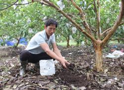 Bộ NN-PTNT chỉ thị tăng cường quản lý sức khỏe đất trồng trọt