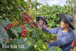 Những quyết sách trên hành trình thế kỷ (kỳ cuối)