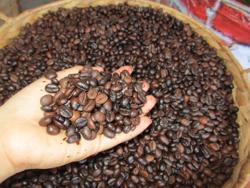 Giá cà phê Robusta lại lập kỷ lục