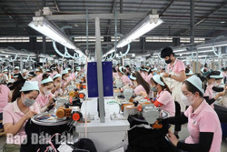 Cần hỗ trợ pháp lý nhiều hơn cho doanh nghiệp nhỏ và vừa