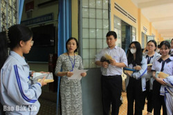 Thi lập đội tuyển dự thi chọn học sinh giỏi quốc gia THPT năm học 2024 - 2025