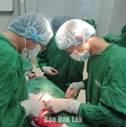 Cắt bỏ thành công khối bướu giáp khổng lồ cho nữ bệnh nhân 64 tuổi