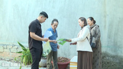 Huyện Krông Bông: Số bệnh nhân mắc sốt xuất huyết giảm