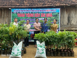 Huyện Lắk: Một hợp tác xã tặng 1.100 cây giống miễn phí cho người dân khó khăn