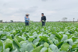 Vì sao nông sản chất lượng cao khó tiêu thụ?