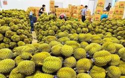 Xuất khẩu rau quả đạt kỷ lục mới