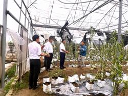 Ngân hàng giảm lãi vay "khủng" cho khách hàng bị thiệt hại vì bão số 3